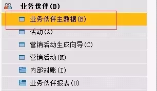 SAP業(yè)務(wù)伙伴欄目
